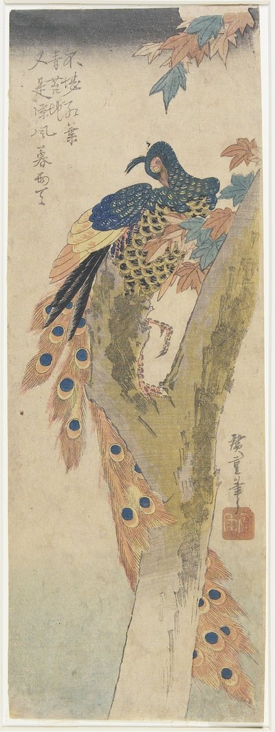 (Akçaağaçta Tavuskuşu), 19. yüzyılın başlarında by Utagawa Hiroshige