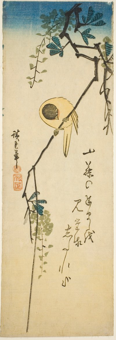 İpeksi wisteria üzerinde kuş by Utagawa Hiroshige