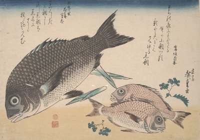 Çipura, Çipura, Kuşkonmaz Sürgünleri ve Sansho Pepper, c.1830 by Utagawa Hiroshige