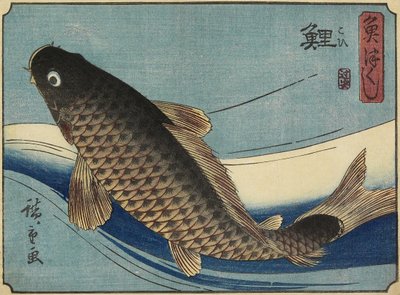 ಕಾರ್ಪ್, 1830-1844 ಟರ್ಕ್ by Utagawa Hiroshige