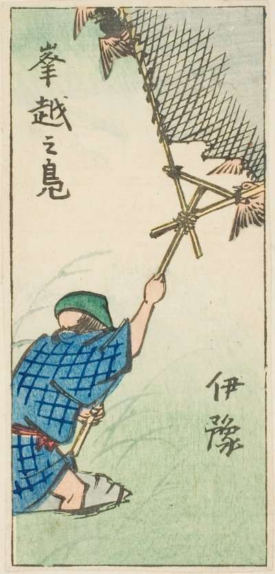 Iyo Eyaletinde Yaban Ördeği Yakalamak (Iyo, okoshi no kamo), sayfa no. "İllerin Kesik Resimleri (Kunizukushi harimaze zue)" serisinden 16 by Utagawa Hiroshige