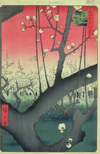 Edo