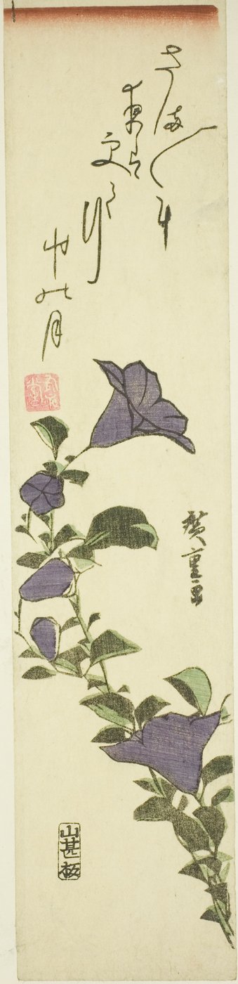 Çin Çan Çiçekleri by Utagawa Hiroshige