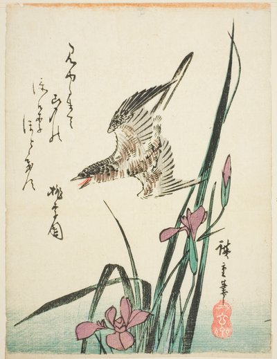 Iris üzerinde uçan guguk kuşu by Utagawa Hiroshige