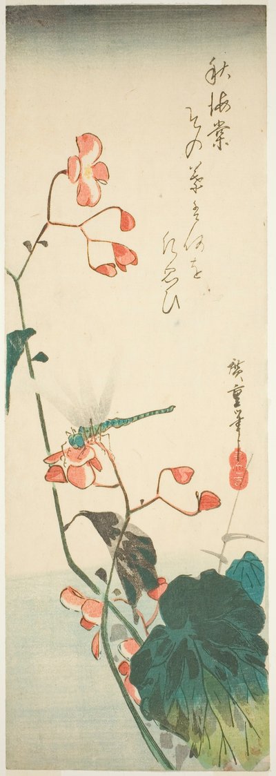 Yusufçuk ve begonya by Utagawa Hiroshige