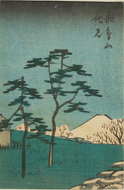 Asuka Tepesi