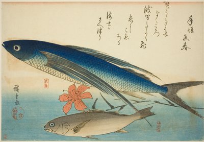 İsimsiz bir balık serisinden uçan balık ve Ichimochi by Utagawa Hiroshige