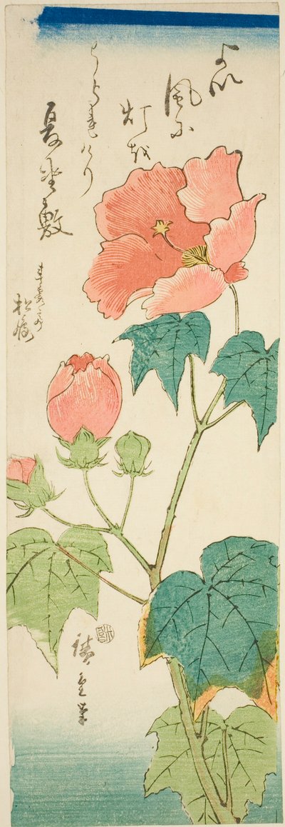 Ebegümeci by Utagawa Hiroshige