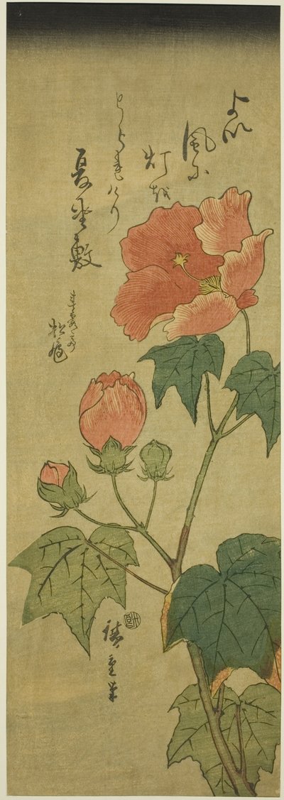 Ebegümeci by Utagawa Hiroshige