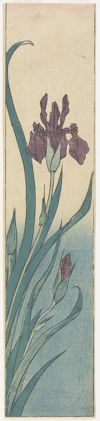 İris, 19. yüzyılın başlarında by Utagawa Hiroshige