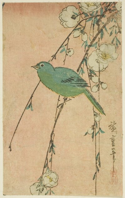 Japon beyaz göz ve ağlayan kiraz by Utagawa Hiroshige