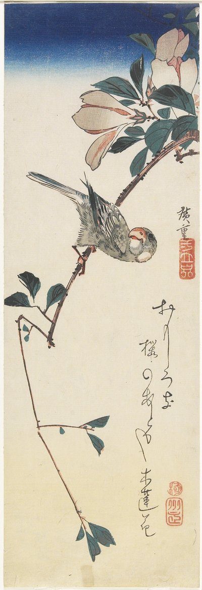 Java Serçesi ve Manolya, 1834-1839 by Utagawa Hiroshige