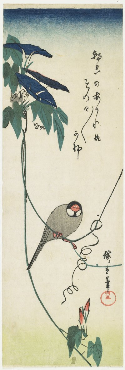 Java Serçesi ve Sabah Zaferleri, 1834-1839 by Utagawa Hiroshige