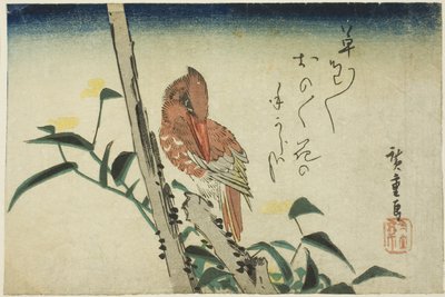 Kingfisher ve dayflower by Utagawa Hiroshige