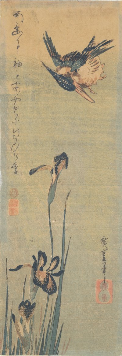 Bir İris üzerinde uçan Kingfisher by Utagawa Hiroshige
