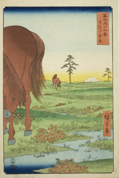 Golden Pine üyesi teğmen P Rovinse (Shimosa Koganehara), teserie