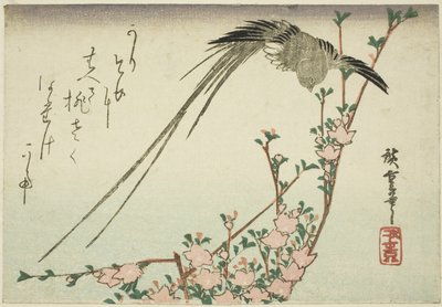 Uzun kuyruklu kuş ve şeftali çiçekleri by Utagawa Hiroshige
