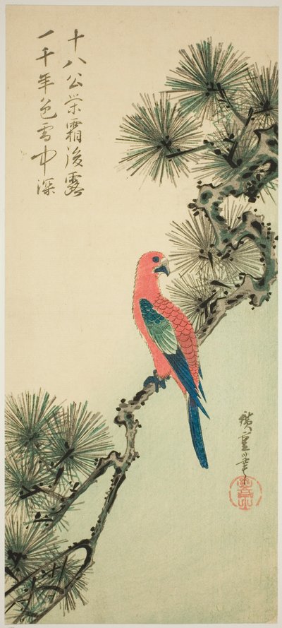 Bir çam dalı üzerinde Amerika papağanı by Utagawa Hiroshige