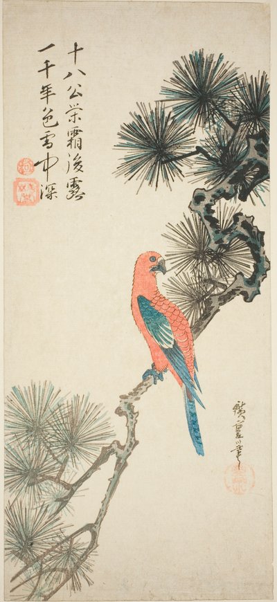 Bir çam dalı üzerinde Amerika papağanı by Utagawa Hiroshige