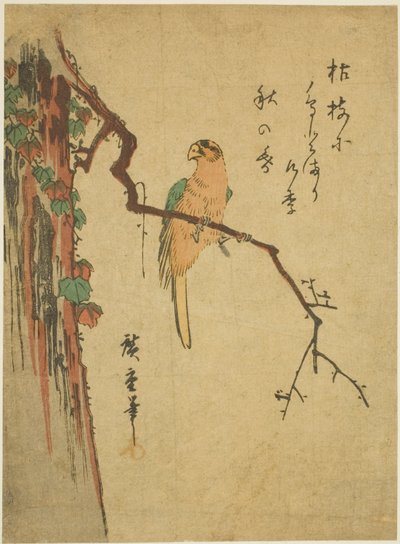 sarmaşık kaplı ağaç üzerinde Amerika papağanı by Utagawa Hiroshige