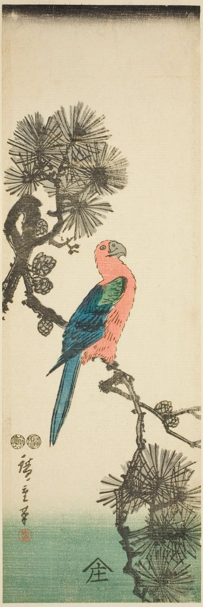 Çam dalı üzerinde Amerika papağanı by Utagawa Hiroshige