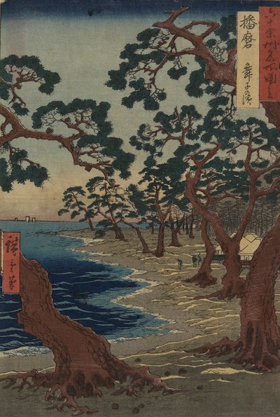 ಹರಿಮಾ ಪ್ರಾಂತ್ಯದ ಮೈಕೊ ಬೀಚ್, ಡಿಸೆಂಬರ್ 1854 ಟರ್ಕ್ by Utagawa Hiroshige