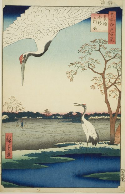 Minowa, Kanasugi, Mikawashima, f Rom Teserie