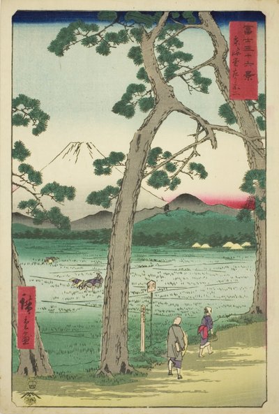 "Fuji Dağı