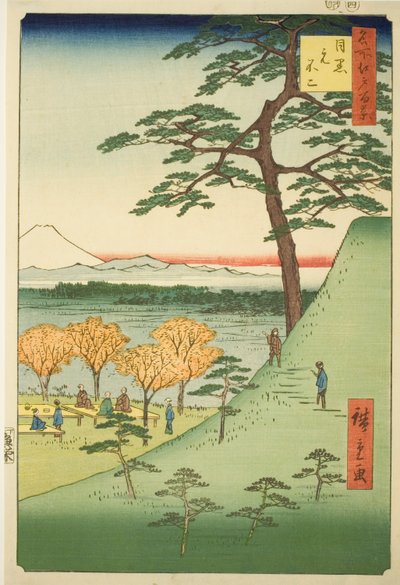 Origi l Fuji, Meguro (Meguro Moto-Fuji), Teserie