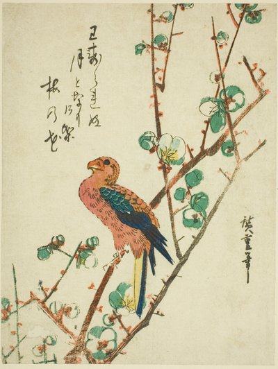 erik ağacı üzerinde papağan by Utagawa Hiroshige