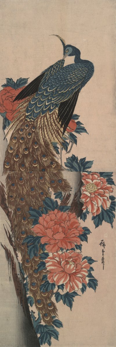 Tavus kuşu ve şakayık by Utagawa Hiroshige