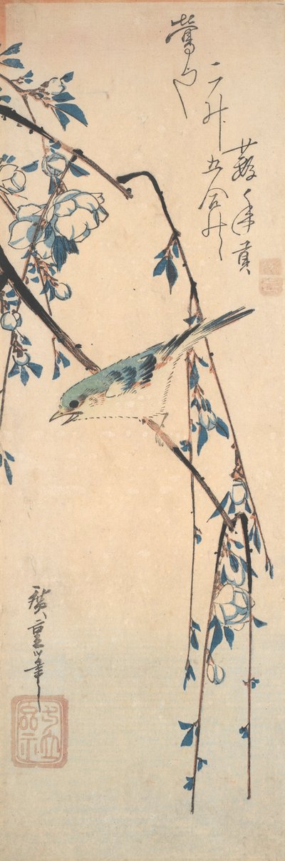 Kiraz Dalı Üzerinde Kırmızı Kanatlı Bluetail by Utagawa Hiroshige