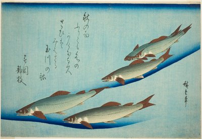 nehir alabalığı by Utagawa Hiroshige