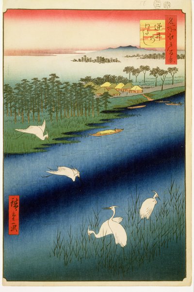 Sakasai Feribotu, Edo