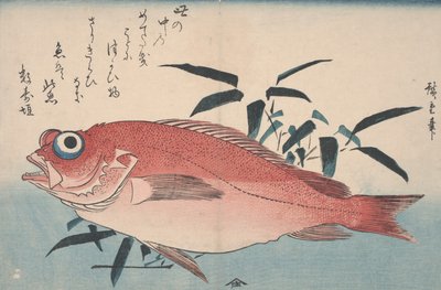 Çipura ve Bambu Otu, 1840 by Utagawa Hiroshige