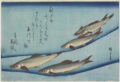 Tatlı balık, 1832-1833 by Utagawa Hiroshige