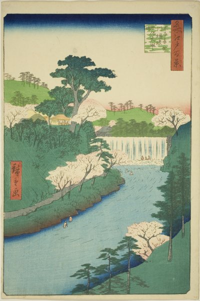 Oji