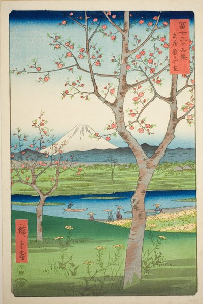 Musashi Eyaletindeki Koshigaya