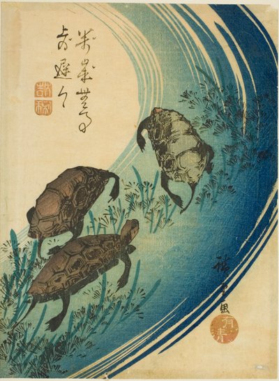 Kaplumbağalar bir derede yüzüyor by Utagawa Hiroshige
