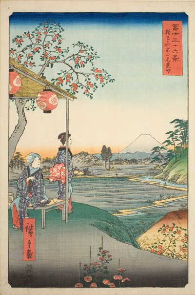"Fuji Dağı