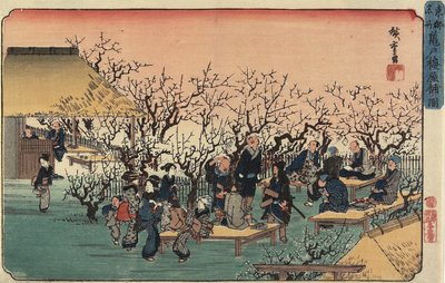 Kameido