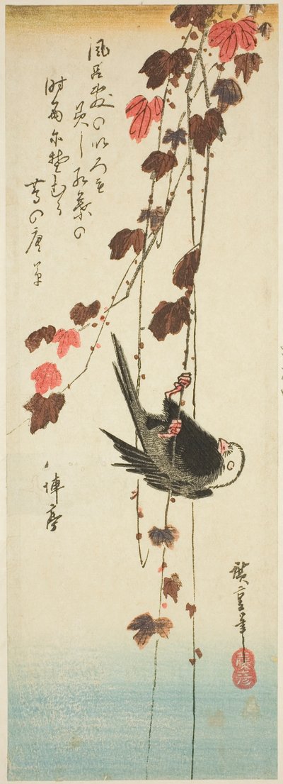 Ak başlı kuş ve sarmaşık by Utagawa Hiroshige