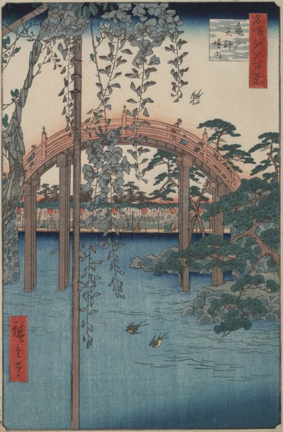 Edo