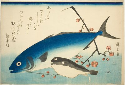 Sarıkuyruk, balon balığı ve erik dalı by Utagawa Hiroshige