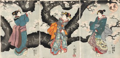 Yoru no sakura [Geceleri Kiraz Çiçekleri], 1846 dolayları (tahta baskı) by Utagawa Kuniyoshi