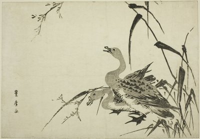 Yaban Kazları ve Sazlıklar by Utagawa Toyohiro