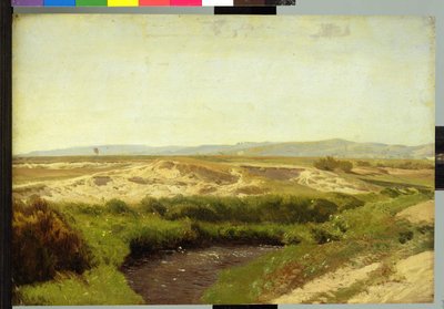 Lüneburg Heath