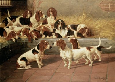ಬಾಸೆಟ್ ಹೌಂಡ್ಸ್ ಇನ್ ಎ ಕೆನಲ್, 1894 ಟರ್ಕ್ by Valentine Thomas Garland