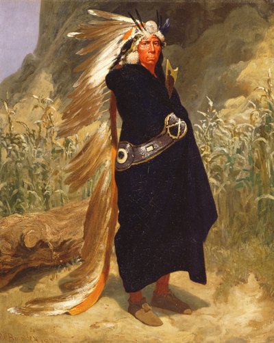 Bir Kızılderili Şefinin Portresi, 1875 by Valentine Walter Lewis Bromley