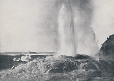 Gayzer, Yeni Zelanda, 1924 by Valentine and Sons Ltd